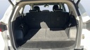 TRUNK