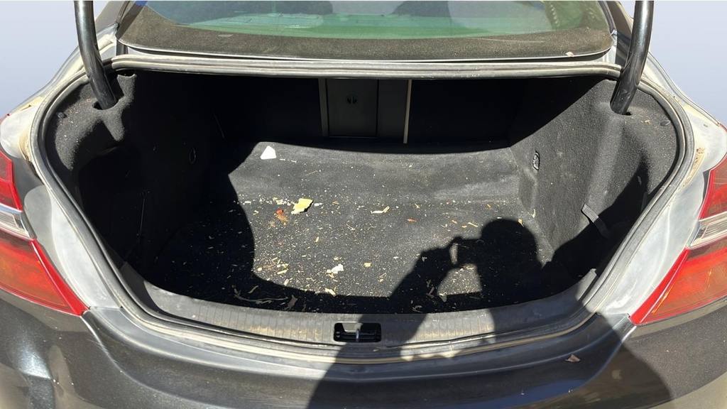 TRUNK