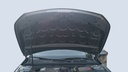 CAR HOOD