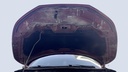 CAR HOOD