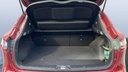 TRUNK