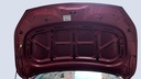 CAR HOOD