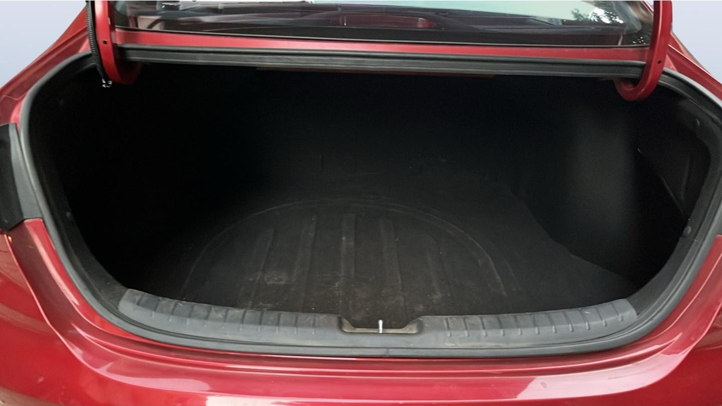 TRUNK