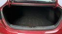 TRUNK