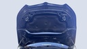 CAR HOOD