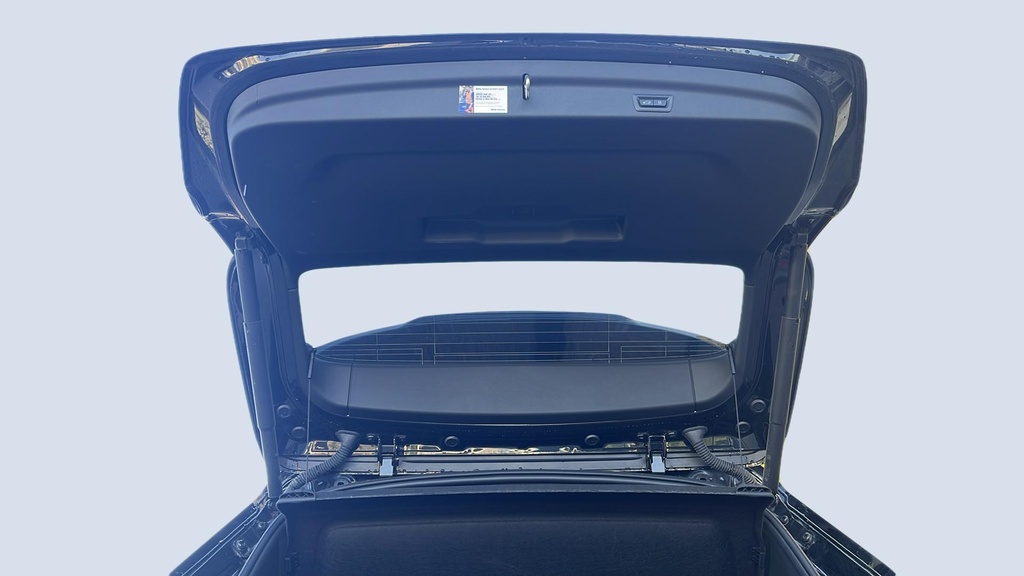 TRUNK HOOD