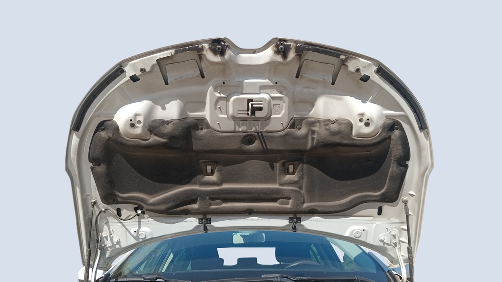CAR HOOD