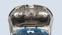CAR HOOD