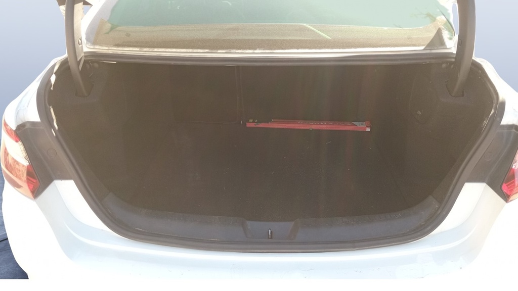 TRUNK