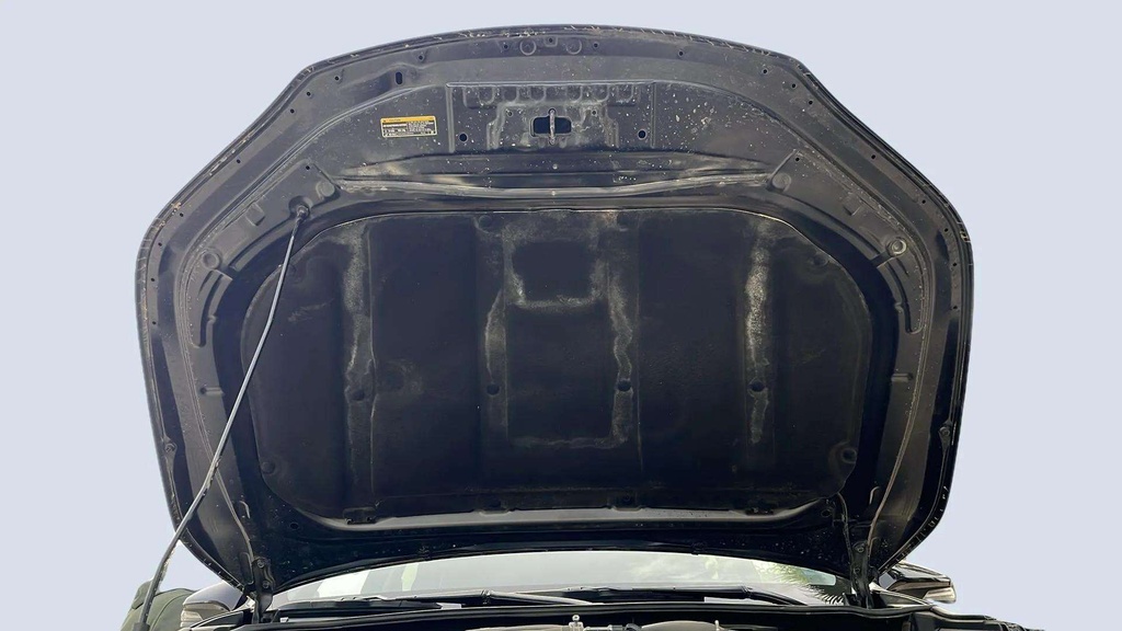 CAR HOOD