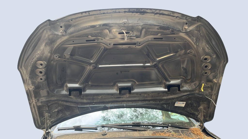 CAR HOOD