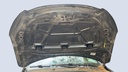 CAR HOOD
