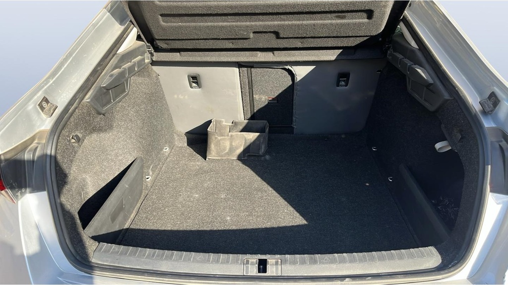 TRUNK