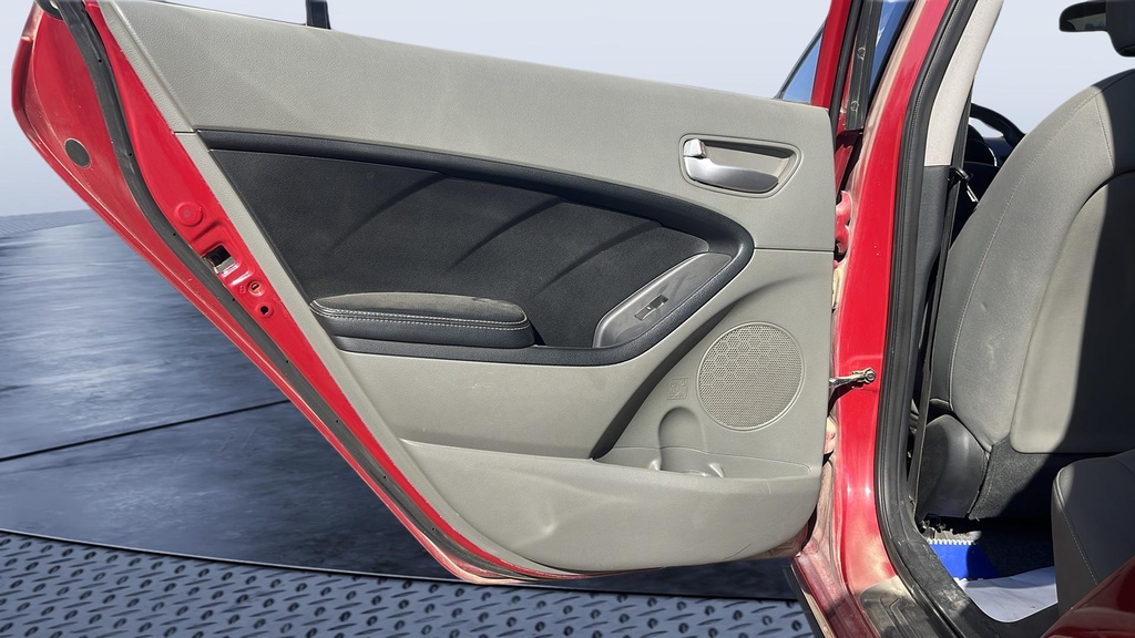 RR L DOOR