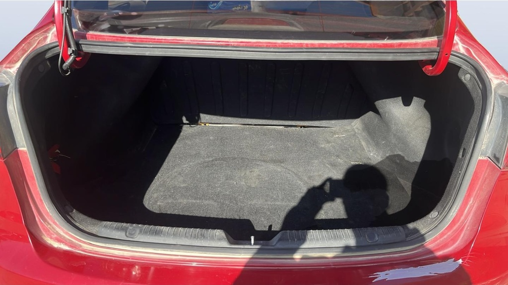 TRUNK