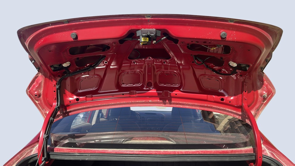 TRUNK HOOD
