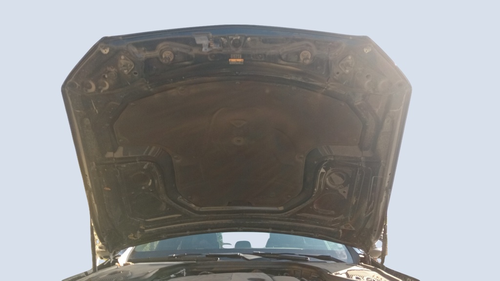 CAR HOOD