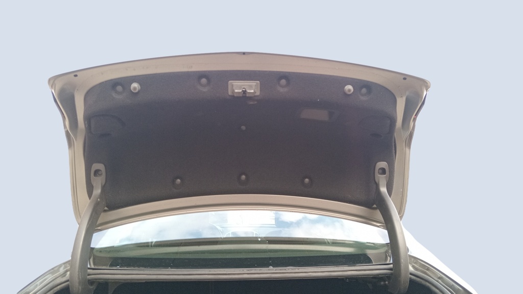 TRUNK HOOD
