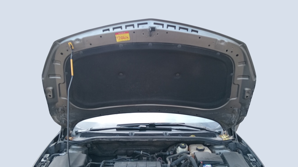 CAR HOOD