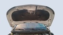 CAR HOOD
