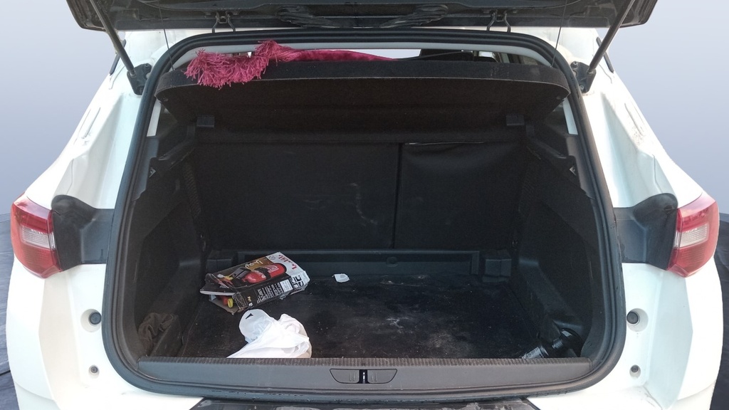 TRUNK