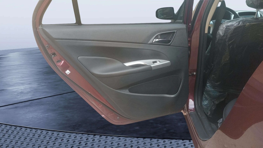 RR L DOOR