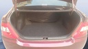 TRUNK