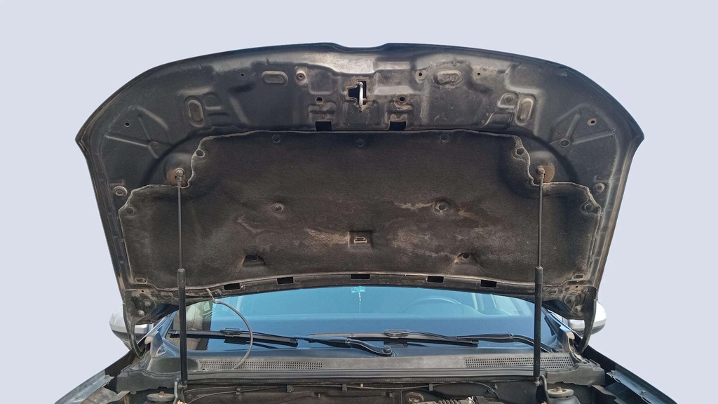 CAR HOOD