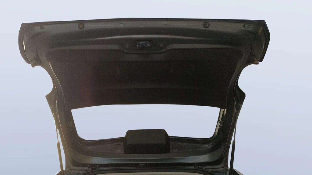 TRUNK HOOD