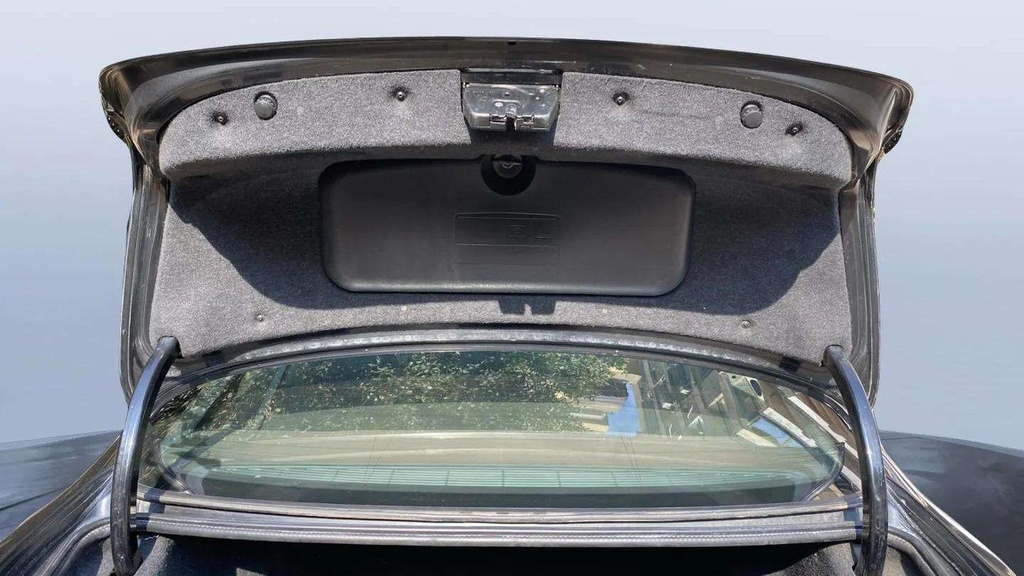 TRUNK HOOD