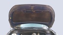 CAR HOOD