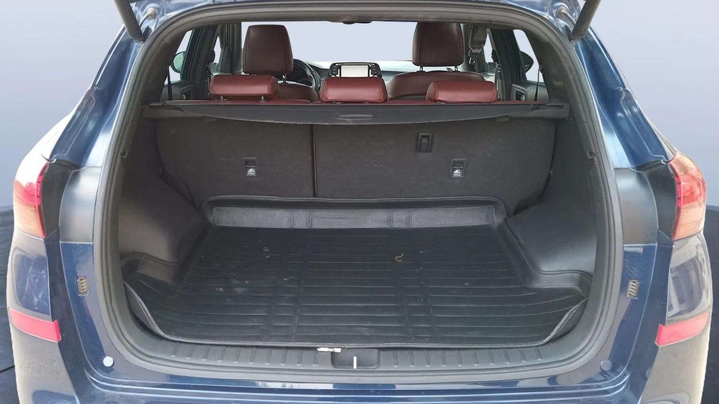 TRUNK