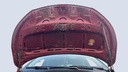 CAR HOOD