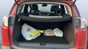 TRUNK