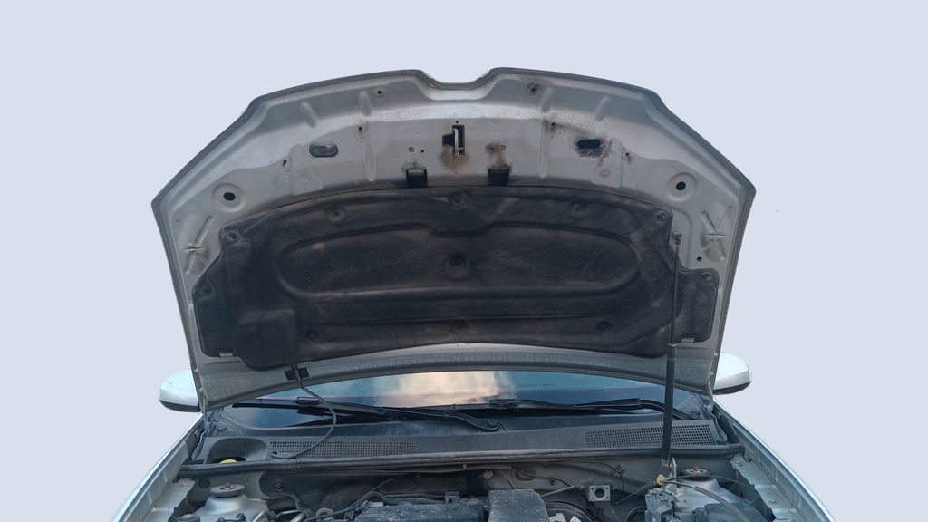 CAR HOOD