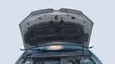CAR HOOD