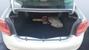 TRUNK