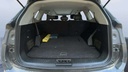 TRUNK