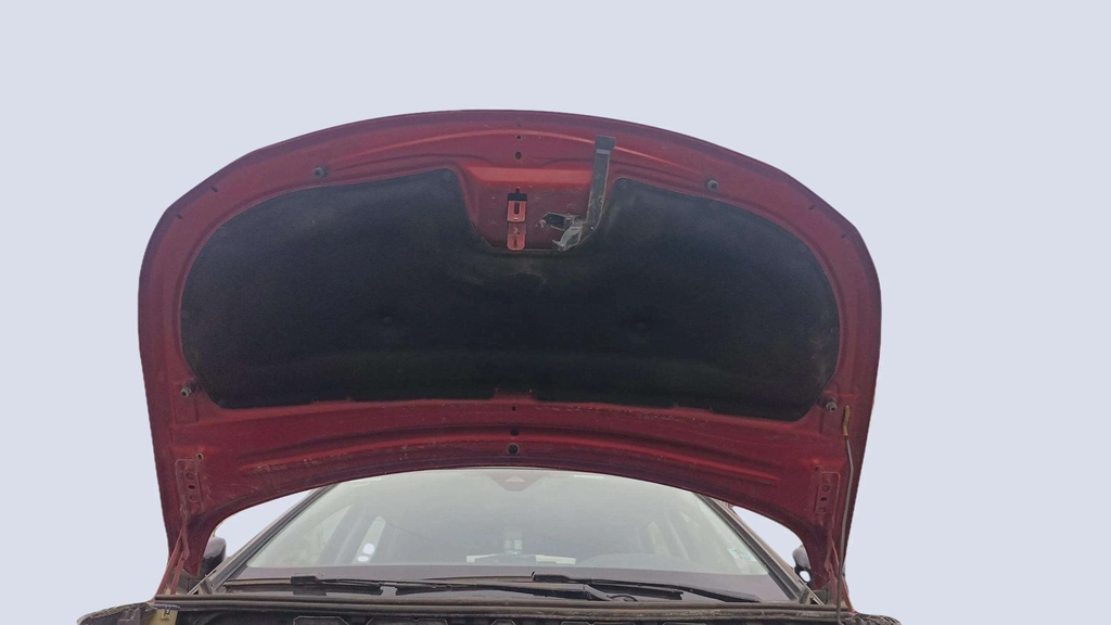 CAR HOOD