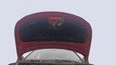 CAR HOOD
