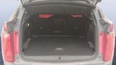 TRUNK