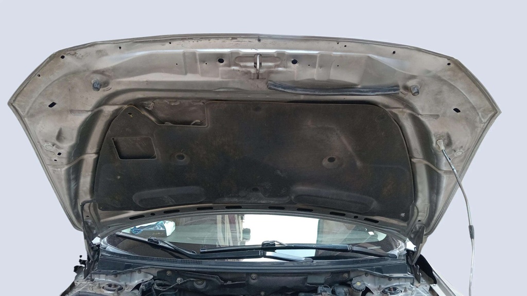 CAR HOOD