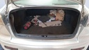 TRUNK