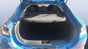 TRUNK
