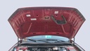 CAR HOOD