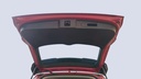 TRUNK HOOD