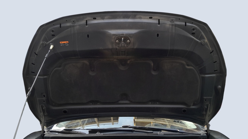 CAR HOOD