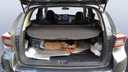 TRUNK