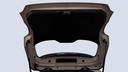 TRUNK HOOD