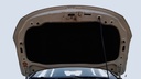 CAR HOOD